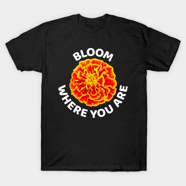 Bloom where you are with happy golden marigold T-Shirt by pickledpossums